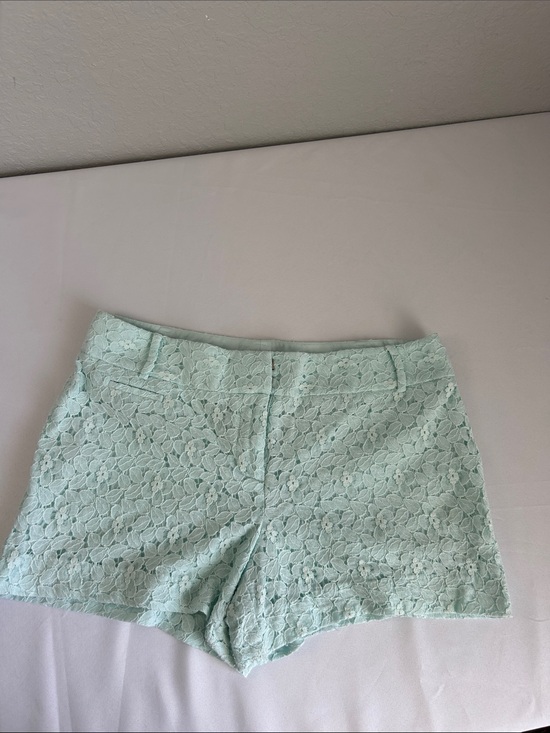 LOFT Pants - LOFT Lace Shorts Womens Mint Green Floral Eyelet Size 10 Summer